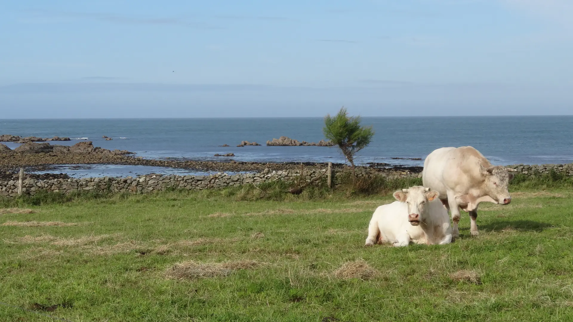 Photos faune et flore